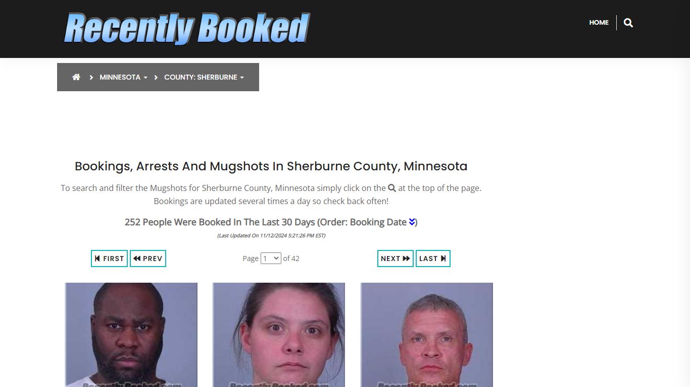 Bookings, Arrests and Mugshots in Sherburne County, Minnesota